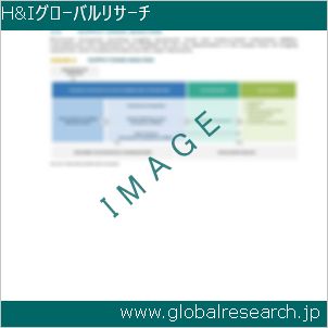 グローバルリサーチ調査レポートのイメージ